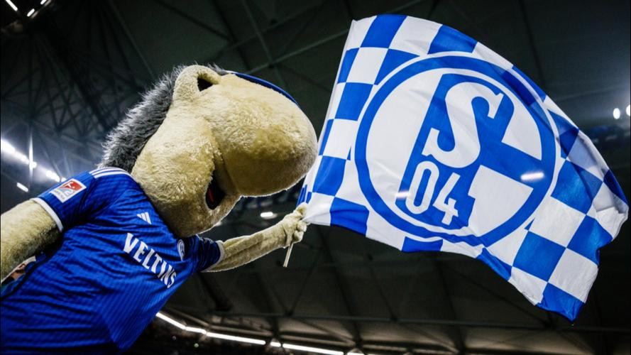 米兰体育培训-沙尔克遭遇主场不敌,重返降级区的简单介绍