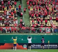 广州羊城队迎胜四川熊猫队,技压群雄的简单介绍 广州羊城队迎胜四川熊猫队,技压群雄的简单介绍