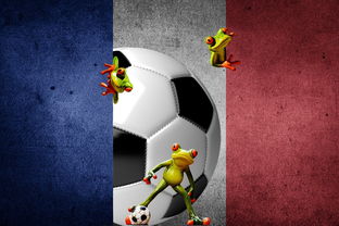 奋力拼抢!欧预赛角逐中百战百胜,备受期待