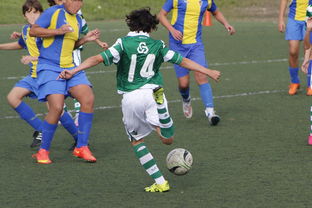 霍芬海姆客场逆转胜利,士气大增