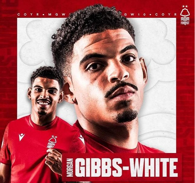 富勒姆惨败收场,保级希望再现乌云的简单介绍